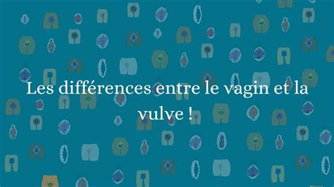 différents types de vulves|5 types de vagin et comment ils affectent la sexualité